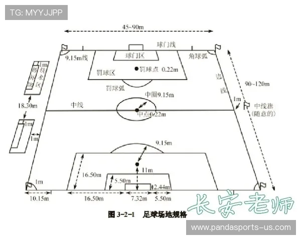 世界杯赛场数据解析：揭示历史表现与未来趋势的关键因素